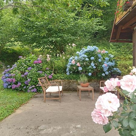 Holiday Home Vesna Brod na Kupi Ngoại thất bức ảnh