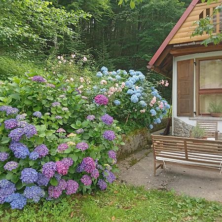 Holiday Home Vesna Brod na Kupi Ngoại thất bức ảnh