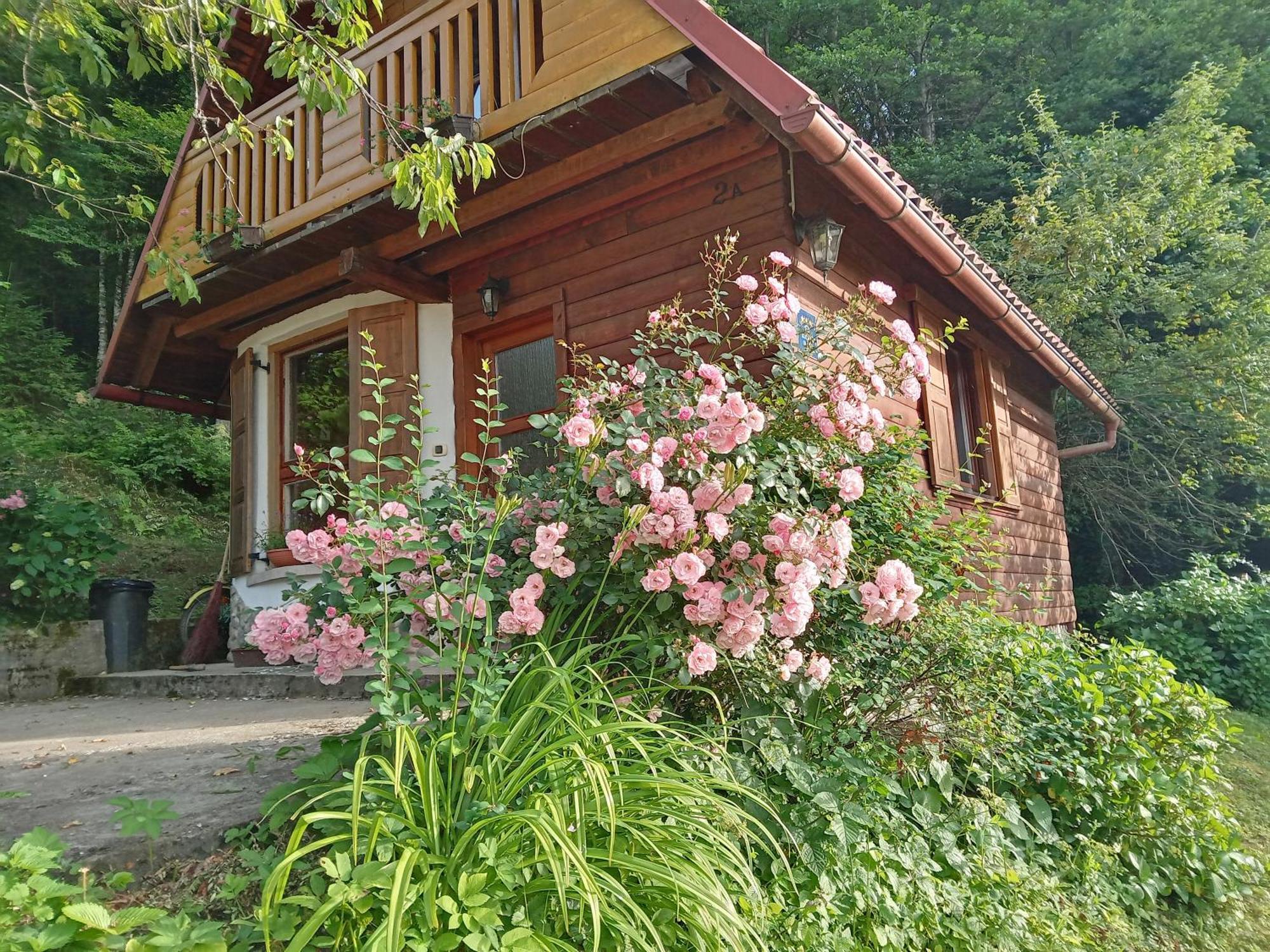 Holiday Home Vesna Brod na Kupi Ngoại thất bức ảnh