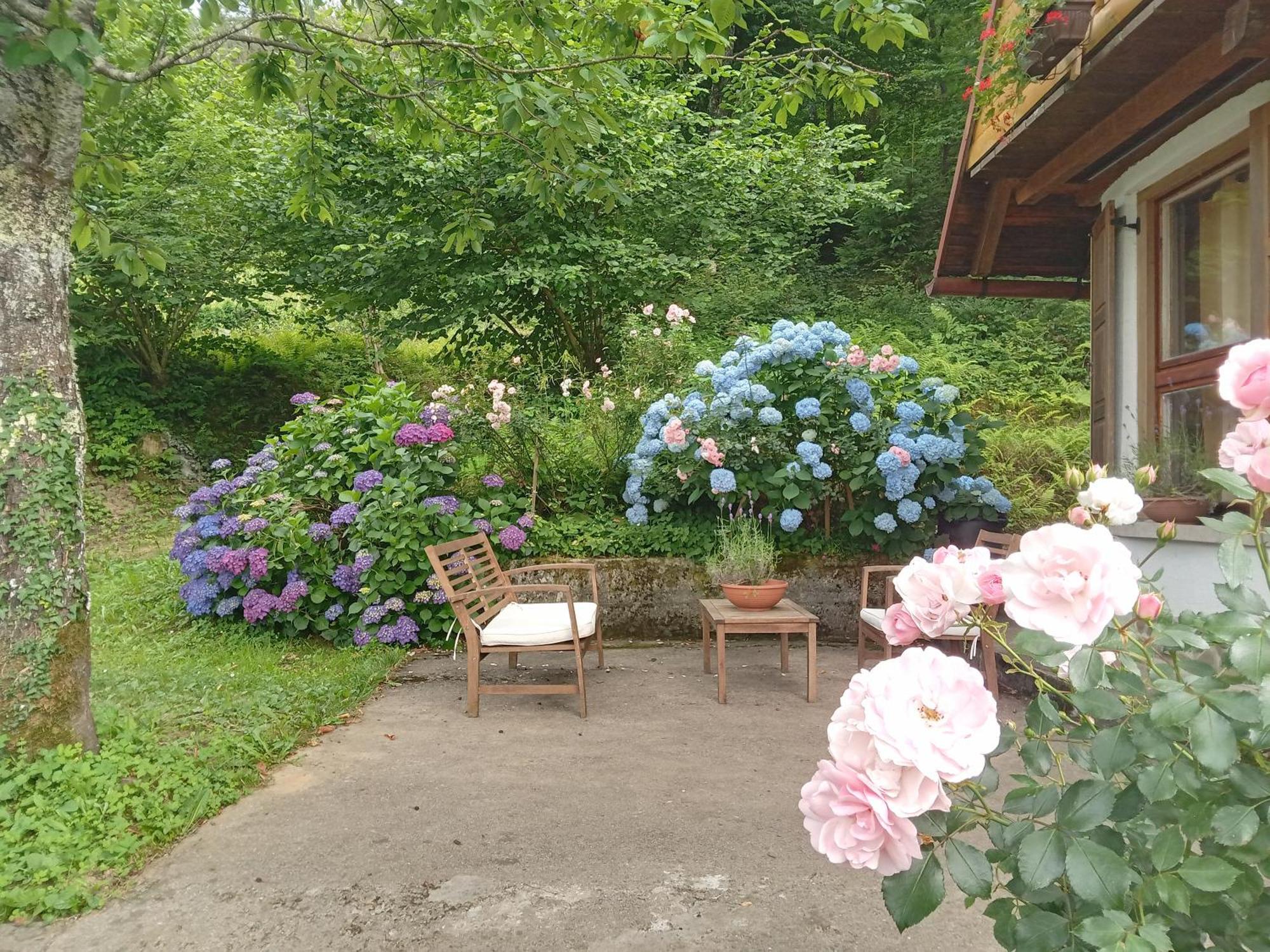 Holiday Home Vesna Brod na Kupi Ngoại thất bức ảnh