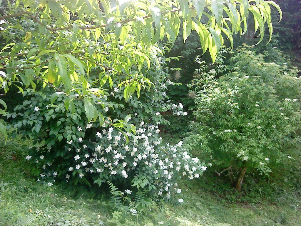 Holiday Home Vesna Brod na Kupi Phòng bức ảnh